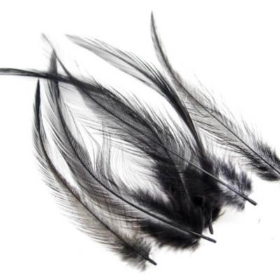 Plumes de cou de coq (hackle)