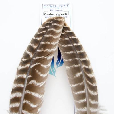 paire de plumes d'ailes de dindon ozark Super Select