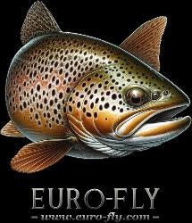 Tee shirt Euro-Fly modèle 12