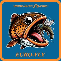 Sweat à capuche Euro-Fly modèle 11