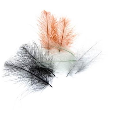 Combo de cul de canard (cdc) Fly-System Super Select